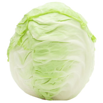 Cabbage cutout, Png file