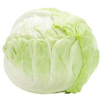 Cabbage cutout, Png file