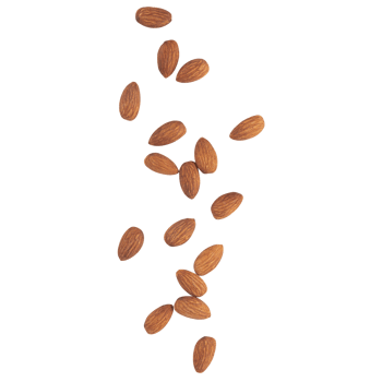 Falling almonds cutout, Png file