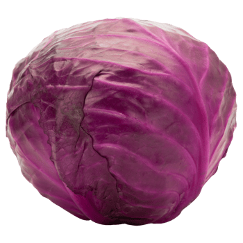 Red cabbage cutout, Png file