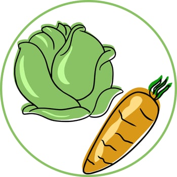 Round card with fresh vegetables, cabbage and carrots, on a white background, vector illustration