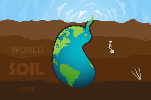 World Soil Day Design Vector Illustration for Poster Background and Banner Design