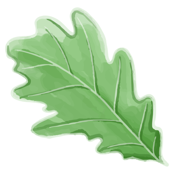 Watercolor leaf, Green leaf clipart png