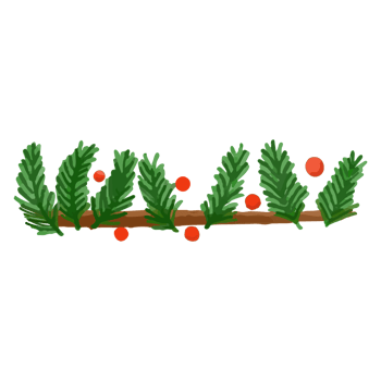 Watercolor Christmas Flower, Hand painted decoration png