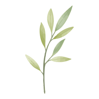 Watercolor Leaf, Green leaves clipart png