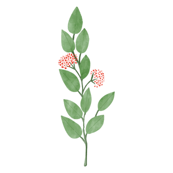 Watercolor Leaf and Flower, Green leaves clipart png