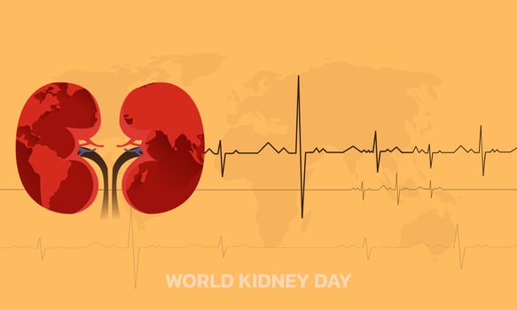 Vector illustration for World Kidney Day.