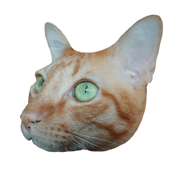 cat face cute free download transparent illustration clipart png