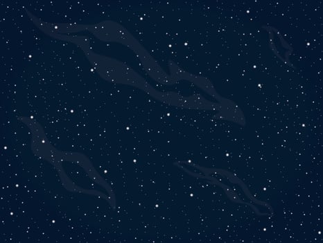 Starry night sky background vector illustration