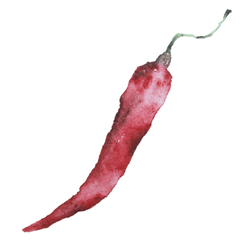Chili watercolor clip art png