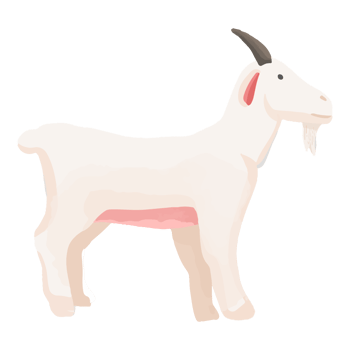 Watercolor Goat, Hand painted farm clipart png