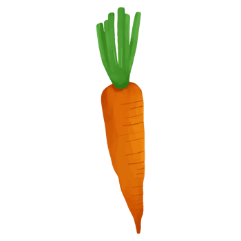 Watercolor Carrot, Hand painted vegetables clipart png