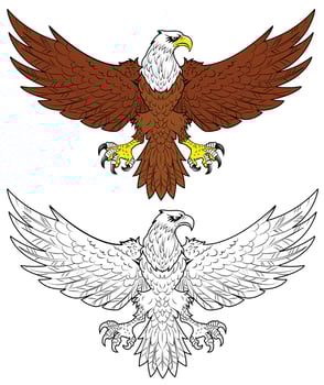Bald eagle sketch. Kids coloring page vector