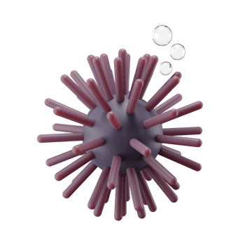 Sea Urchin 3D Render Illustration png