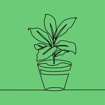 continuous line drawing on plant vector