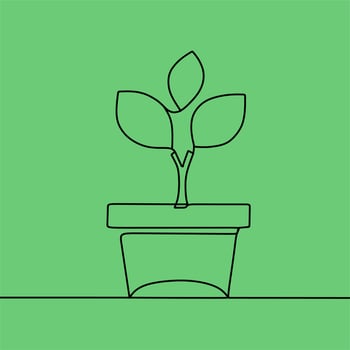 continuous line drawing on plant vector