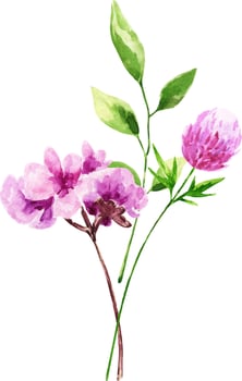 Watercolor bouquet of spring flowers.Decoration isolated on white background, bouquet of wild composition. vector