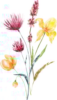Watercolor bouquet of spring flowers.Decoration isolated on white background, bouquet of wild composition. vector