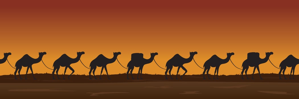 Camels caravan travelling through desert on sunset seamless vector illustration