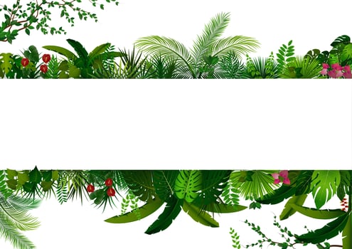 Tropical leaves background. Rectangle plant frame with space for text. Tropical foliage with horizontal banner vector