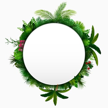 Tropical leaves background. Round tropical banner with space for text. Tropical foliage isolated on white background vector