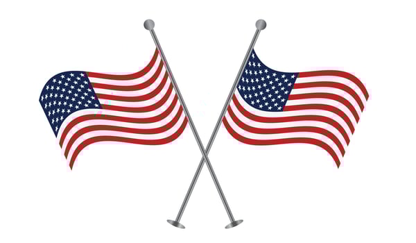 USA national flag vector illustration