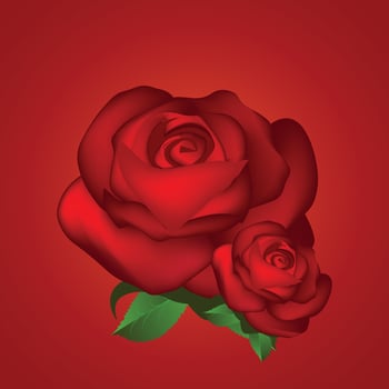 Realistic rose vector