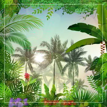 Tropical morning landscape with palm trees and leaves vector