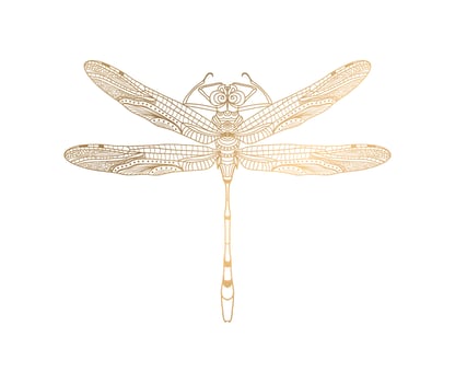 vector golden dragonfly stripes on white background