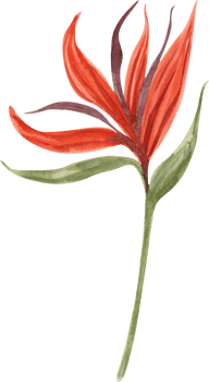 Watercolor exotic flower png