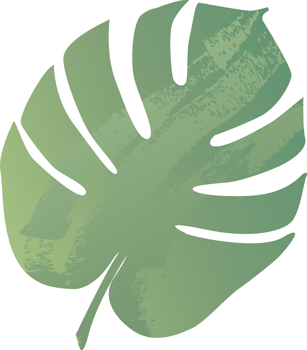 Watercolor tropical leaf. png