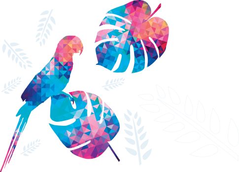 Colorful drawing Macaw bird  pattern background. png