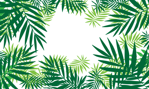 tropical green leaf pattern background png