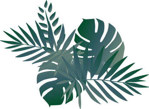 tropical green leaf pattern background png