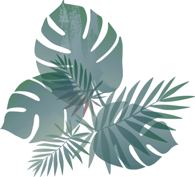 tropical green leaf pattern background png