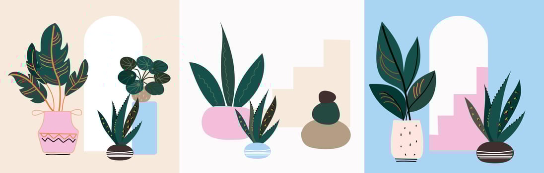 home plants set, urban garden, vector art.