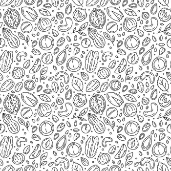 Nuts and Seeds vector seamless pattern with icons in the Doodle style. Black linear walnuts, macadamia, hazelnuts and peanuts