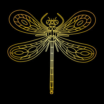 A golden beetle in a linear style. Linear vector illustration