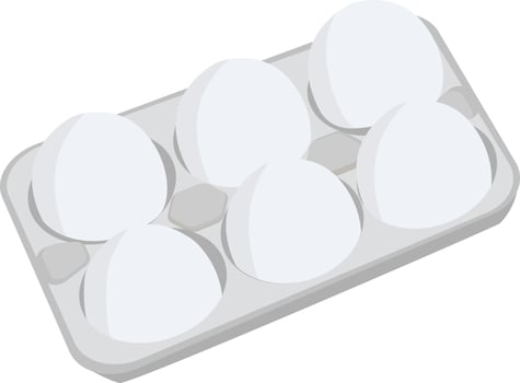 Eggs in the paper package vector illustration
