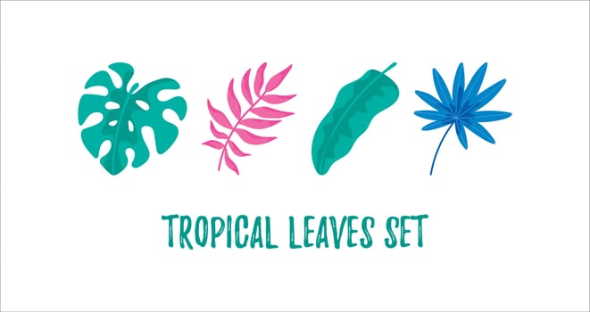 Set of hand drawn tropical leaves isolated on white vector