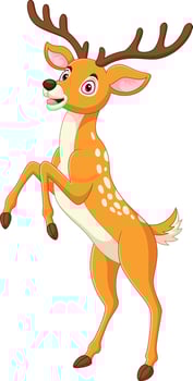 Cartoon funny deer standing on white background vector
