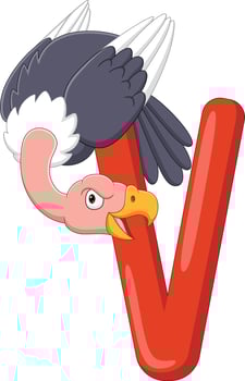 Alphabet letter V for Vulture vector