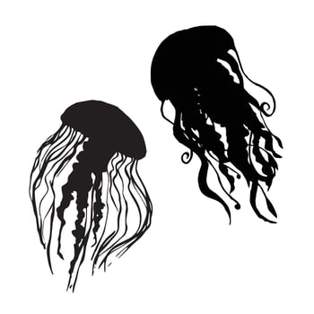 Jellyfish silhouette Art vector