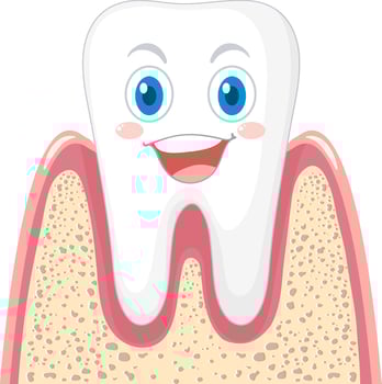 Happy strong tooth in gum on white background vector