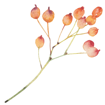 natural branch watercolor png