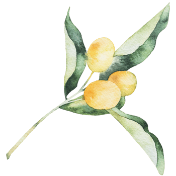 natural branch watercolor png