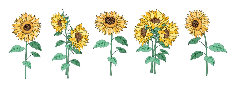 Sunflower element set Designed in doodle style, for decorations, cards, postcards, apparel patterns, printed fabrics, fashion, scrapbook, pillow designs, bags and more. vector
