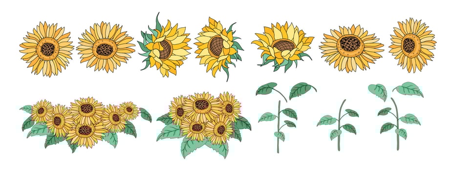 Sunflower element set Designed in doodle style, for decorations, cards, postcards, apparel patterns, printed fabrics, fashion, scrapbook, pillow designs, bags and more. vector
