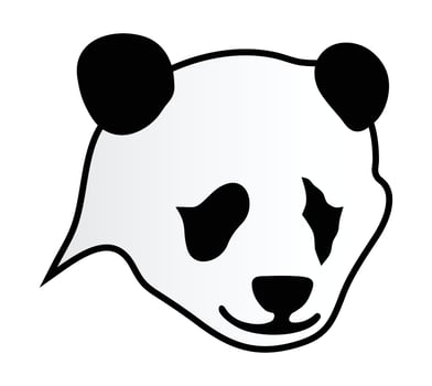Panda on white background vector