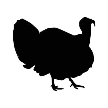 Turkey silhouette Art vector